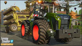 Hauling & Selling Grass Silage & Hay Bales. Harvesting Sunflowers. Liming🔹Angeliter Land Ep.36🔹FS 22
