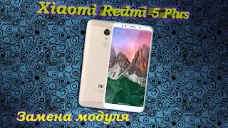 Полный разбор Xiaomi RedMi 5 Plus и замена дисплейного модуля