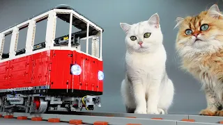 Cat Sized Lego Train