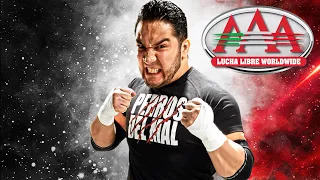 HOMENAJE HIJO DEL PERRO AGUAYO en SAN LUIS | Lucha Libre AAA