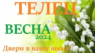 ТЕЛЕЦ ♉ВЕСНА 2024🌞 таро прогноз/гороскоп на март 2024/ апрель 2024/ май 2024/ расклад “Двери”