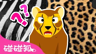 獵豹的豹紋去哪裡了？🐆 | 動物兒歌 | 臺灣配音 注音字幕 童謠 | 鯊魚寶寶 Baby Shark 碰碰狐 Pinkfong l Kids Song Nursery Rhymes