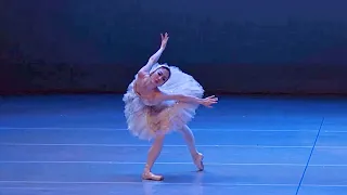 빈사의 백조(Dying Swan)