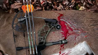 BIG BUCK DOWN: Self Filmed Bow Hunt