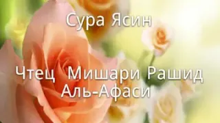 Сура Ясин.Чтец Мишари Рашид