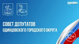 Заседание Совета депутатов Одинцовского городского округа МО 20.05.2024
