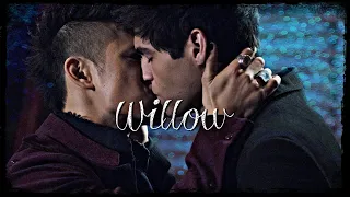 Magnus & Alec || Willow