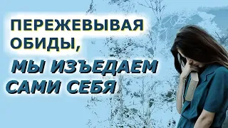 Кто-то несправедливо обидел нас!...