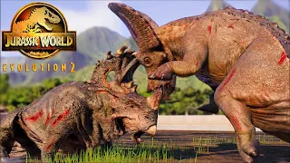 Herbivore vs Herbivore Dinosaurs Fighting | Herbivore Wars #2 | Jurassic World Evolution 2