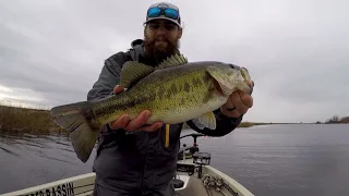 CRAZY STORM day Bass Fishing the California Delta ( January A-rig Flurry)