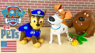 The Mysterious Noise Paw Patrol and Secret Life of Pets Episode in English