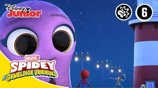 Aflevering 3 | Spidey 🕸️ | Disney Junior BE