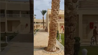 Hotel Beach Albatros 5* in Hurghada  Хургада Rundgang (Абзор )in Februar  2022
