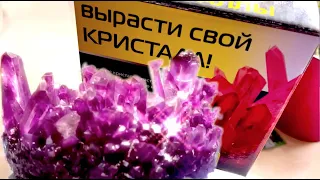 КРИСТАЛЛ 🔮 Юный Химик 💎 1000 Лет за 10 Дней