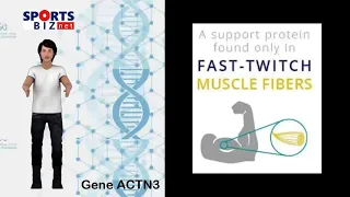 SportsBizNet - Sports Science - Evolution of "Sprint Gene" ACTN3