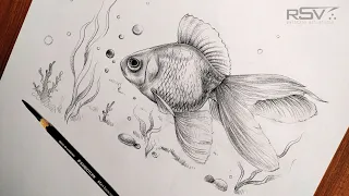 How to draw a fish  | pencil drawing | step by step | black and white