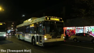 Bee-Line Bus: 40LFW Route 14 at Martine Ave & Court St