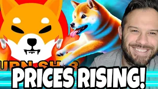 Shiba Inu Coin | SHIB Jumping on Doge Day! Dogeverse Sell-Out Speeding Up!