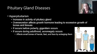 Endocrine Diseases and Disorders - Part 1