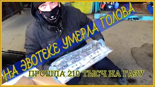 Замена головы на эвотеке! Поставил TANAKI! На пробеле 370 тысяч, заменил голову!