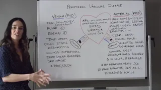 Peripheral Artery Disease (PAD) vs. Peripheral Venous Disease (PVD)