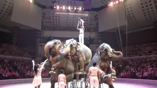 Аттракцион « Слоны» пр Кристиана и Алекса Гертнер ГерманияAttraction “Elephants”