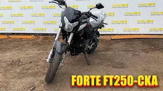 Детальний огляд на FORTE FT250-CKA