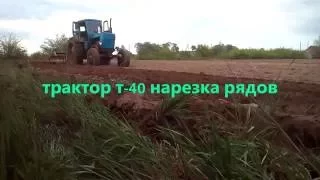 Трактор т-40 нарезка рядов под картофель/Ciągnik t-40 krojenie rzędów pod ziemniaki