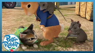 @OfficialPeterRabbit - The CAT 🐱 and MOUSE 🐁 Chase! | Mittens vs. the Mice | Cartoons for Kids