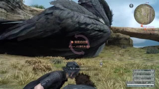 FINAL FANTASY XV　デカイ鳥