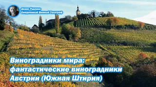 Виноградники мира: фантастические виноградники Австрии (Южная Штирия)
