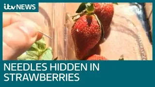 Sewing needles found hidden in strawberries across Australia | ITV News