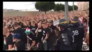 collection  of Hungarian fans celebrating in  Euro 2016