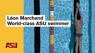 Léon Marchand: World-class ASU swimmer: Arizona State University (ASU)