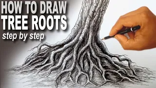 How to draw tree roots | using pencils