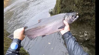 ЛОСОСЕВАЯ БОНАНЗА!!!  КИЖУЧ НАПАДАЕТ. РЫБАЛКА В США. SALMON BONANZA.