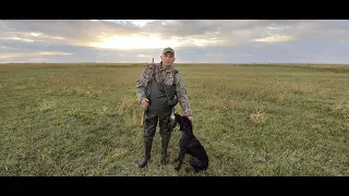 Охота на Уток 11- 12 сентября 2021 г .Казахстан,охотхозяйство Бакбакты.
