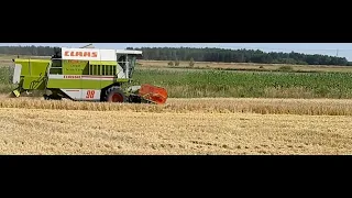 Koszenie jęczmienia 2022/ Claas dominator 98