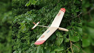 PUPPY by Rudolf Hiesbök Kategorie "mini-UHU" Rzutka z balsy, Model sailplane/glider, Házedlo