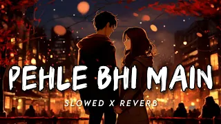 Pehle Bhi Main ( Slowed + Reverb ) Vishal Mishra | Animal | Srb Lofi