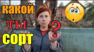 Кролики//Козы//Гулять или работать?//Благоустройство усадьбы