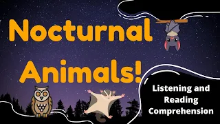 Nocturnal Animal Facts for Kids: Listening and Reading Comprehension 🦉🦝🦇