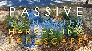 Suburban Ecological Landscape: Passive Rainwater Harvesting System