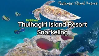 Thulhagiri Island Resort(Maldives) - Snorkeling near Big beach.