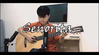 (Shawn Mendes & Camila Cabello) Señorita - Fingerstyle Guitar - Anh Tri Le