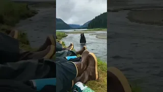 A grizzly bear runs past a group of people in Alaska