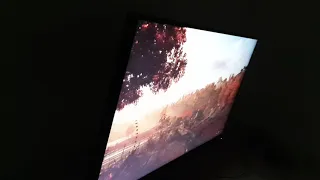 Philips 279P1 Viewing Angles