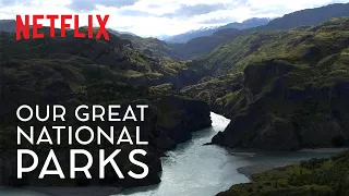 How Rewilding Actually Works | Our Great National Parks | #WildForAll | Netflix