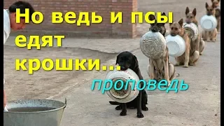 Но ведь и псы едят крошки...