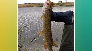 💕РЫБАЛКА/АКТИВНЫЙ ОТДЫХ/Fishing/Outside activities/Нанули Лада👍